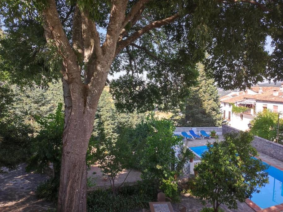 Casa Pomar - Preciosa Casa Con Piscina Y Vistas A La Sierra Villa Grazalema Exterior photo
